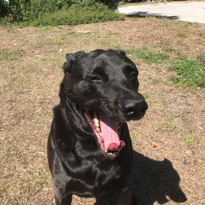 Meet your Posher, Ben